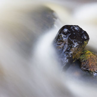 Bryophyta Falls Photograph