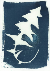 Cyanotype Original Artwork