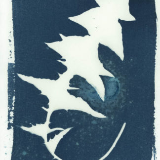 Cyanotype Original Artwork