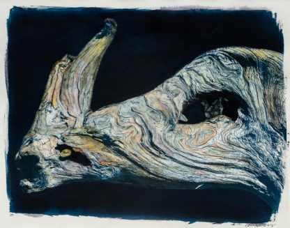 Beserker hand coloured cyanotype