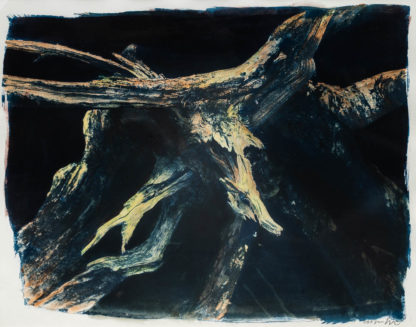 Brute hand coloured cyanotype