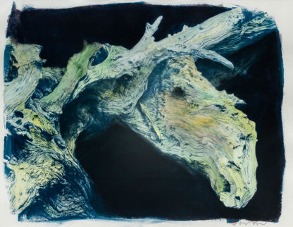 Cavalry hand coloured cyanotype